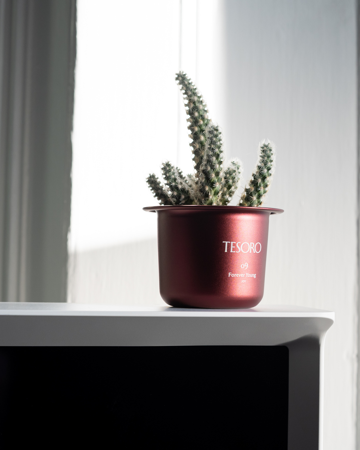 Deep red metallic candle vessel repurposed as a pot for a small succulent